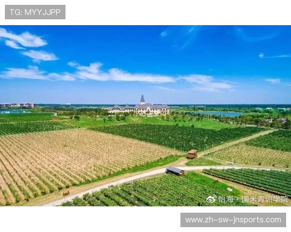 法甲青训营地分布及培养体系介绍