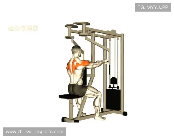 飞鸟凳：提升胸肌力量的理想选择，打造完美上身线条